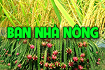 Bạn nhà nông