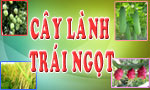 Cây lành trái ngọt