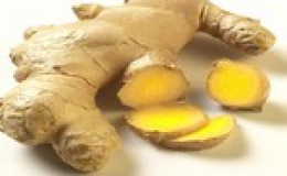 Gừng – Món quà quý của thiên nhiên
