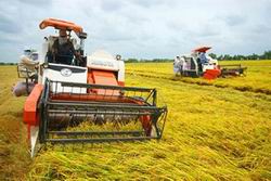Thí điểm nhân rộng mô hình HTX kiểu mới tại vùng ĐBSCL