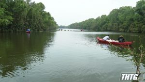 Để phát triển bền vững du lịch sinh thái Đồng Tháp Mười