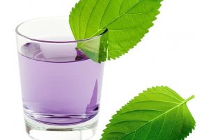 Bài thuốc dân gian chữa nhiều bệnh từ lá tía tô